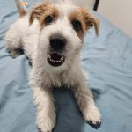 WhatsApp Image 2025-04-01 at 9.20.22 PM