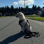 WhatsApp Image 2025-05-22 at 4.15.33 PM