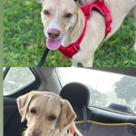 WhatsApp Image 2025-05-22 at 8.24.38 PM