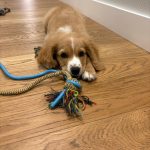 WhatsApp Image 2025-05-24 at 9.10.39 AM