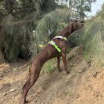 WhatsApp Image 2025-06-08 at 4.12.55 PM