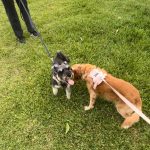 WhatsApp Image 2025-12-22 at 11.51.53 AM