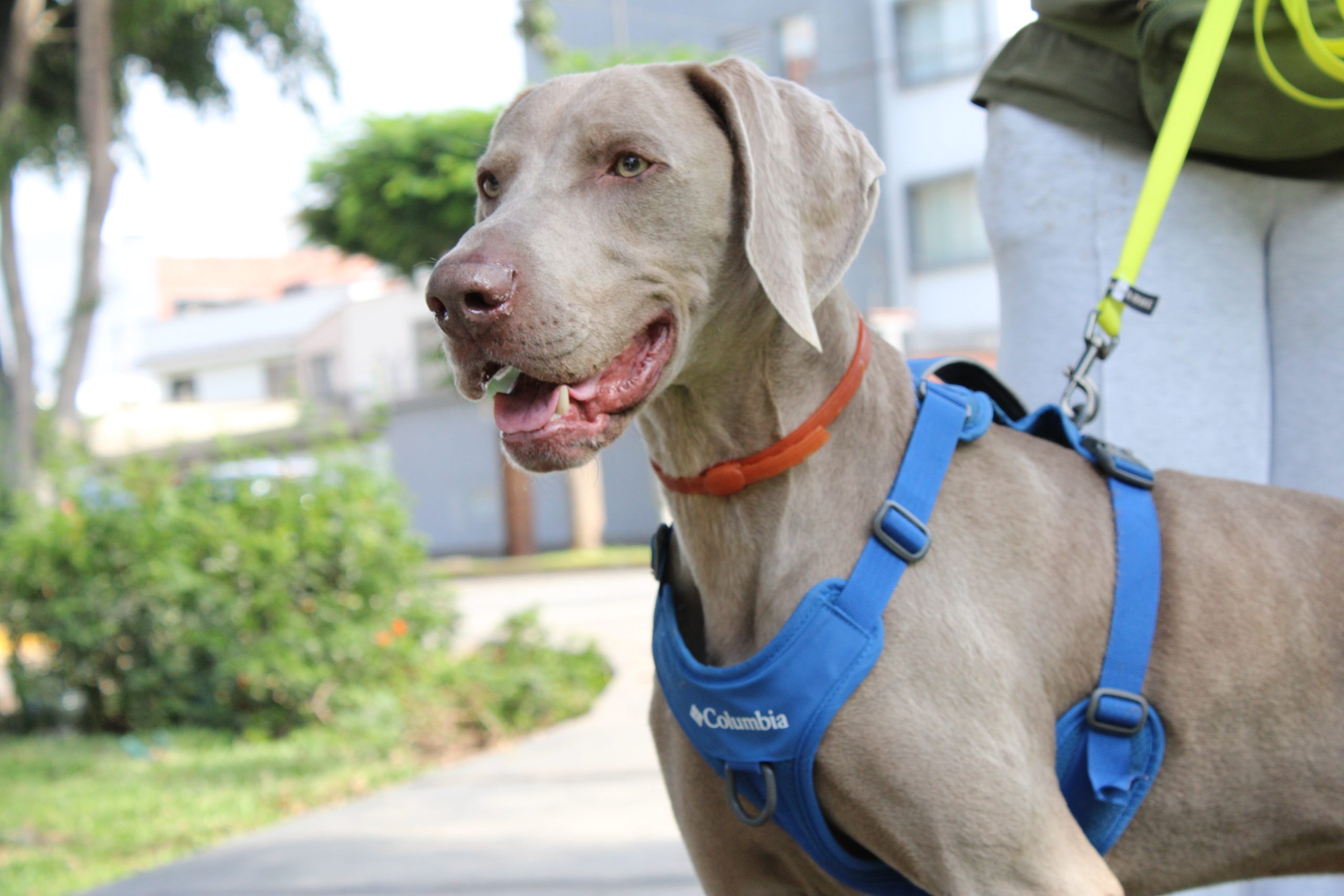 Katherine y Sobek (Temporada 1)