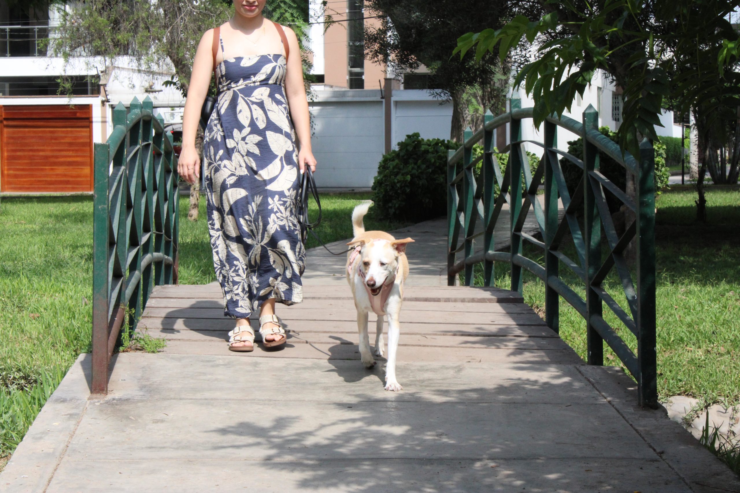 Carolina y Olivia (Temporada 2)