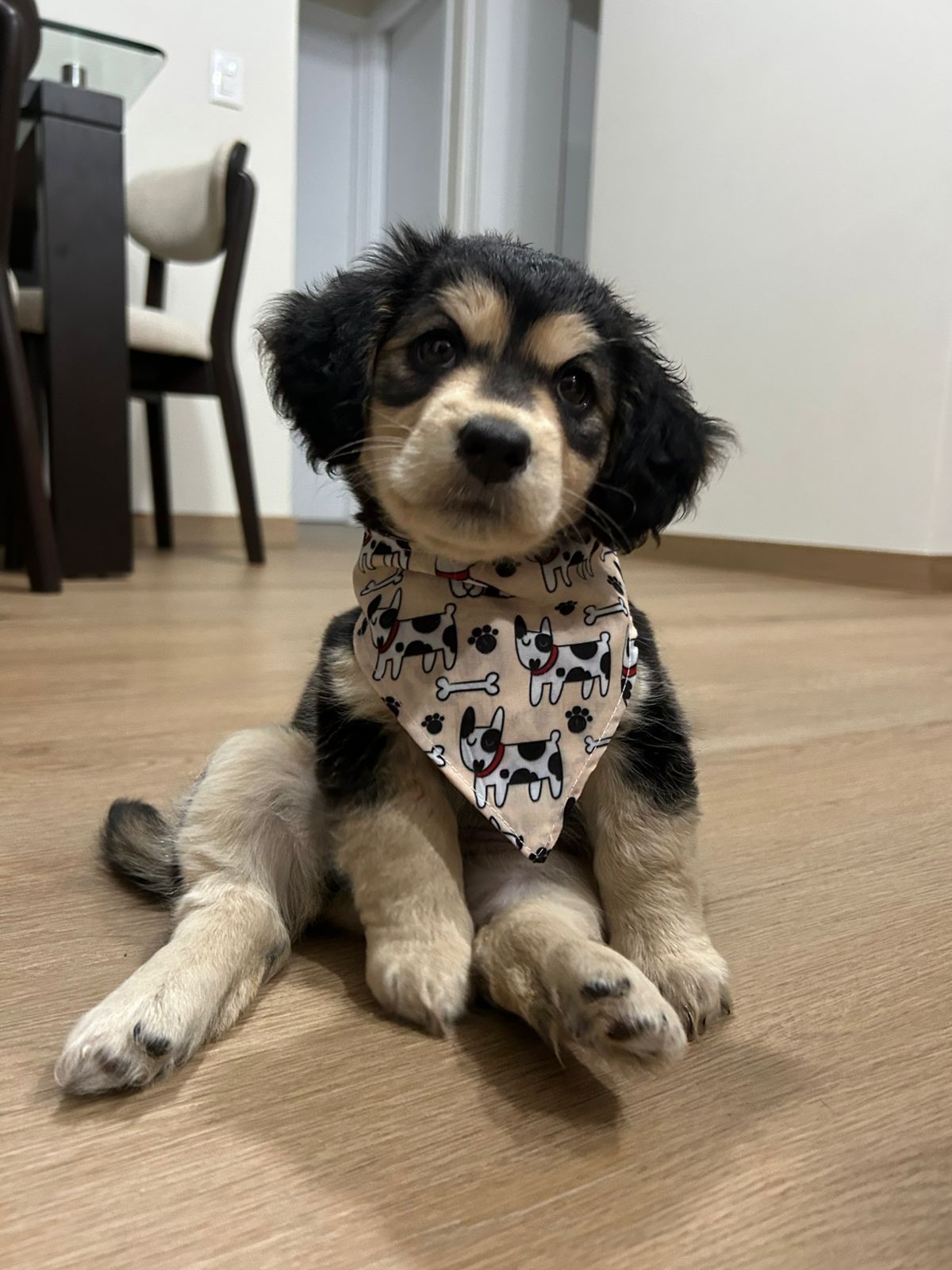 Aileen y Aurora (Temporada 2)